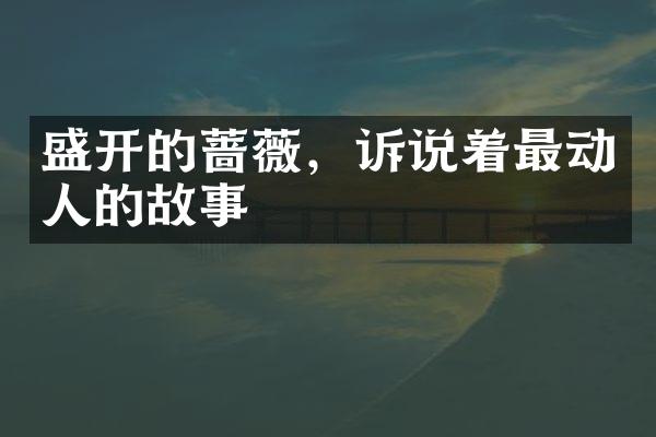 盛开的蔷薇，诉说着最动人的故事