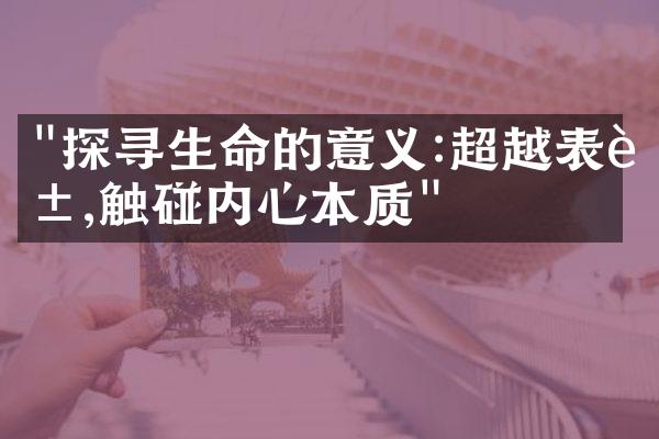 "探寻生命的意义:超越表象,触碰内心本质"