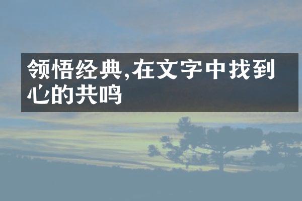 领悟经典,在文字中找到内心的共鸣