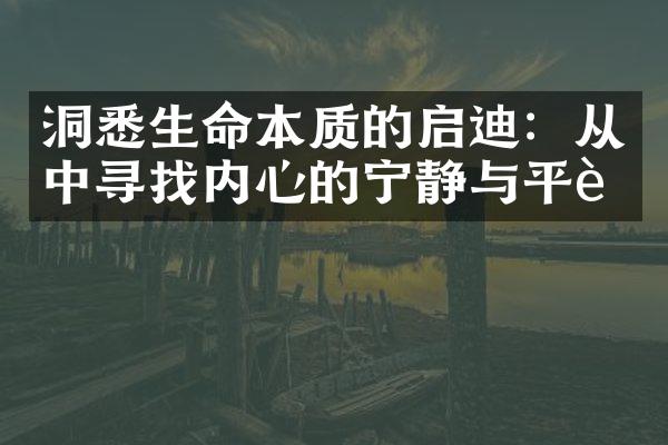 洞悉生命本质的启迪：从中寻找内心的宁静与平衡