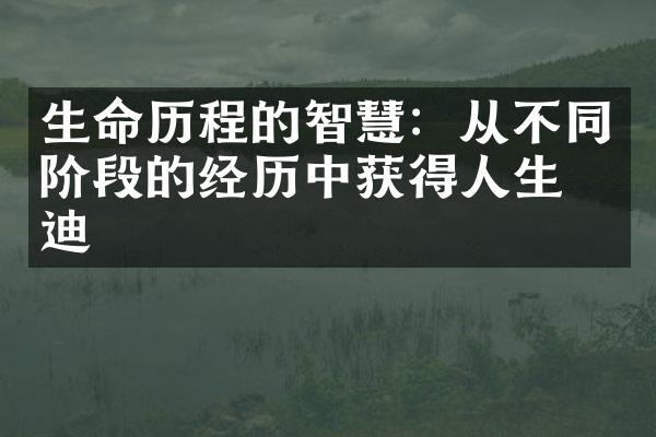 生命的智慧：从不同阶段的经历中获得人生启迪