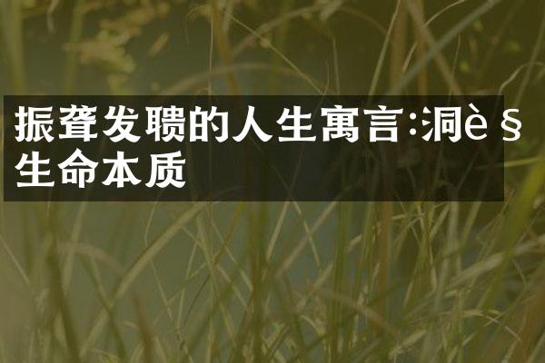 振聋发聩的人生寓言:洞见生命本质