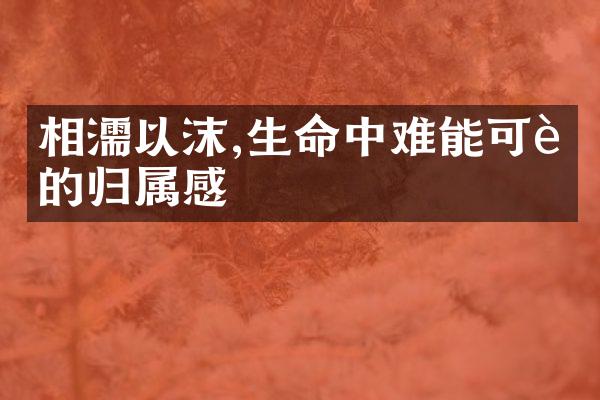 相濡以沫,生命中难能可贵的归属感