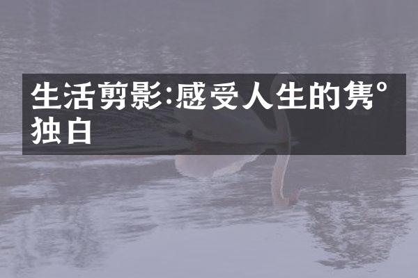 生活剪影:感受人生的隽永独白