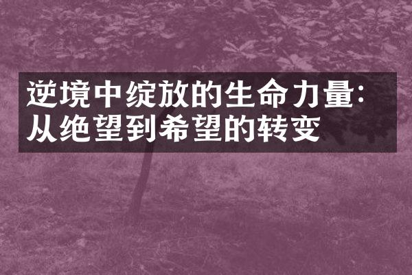 逆境中绽放的生命力量：从绝望到希望的转变