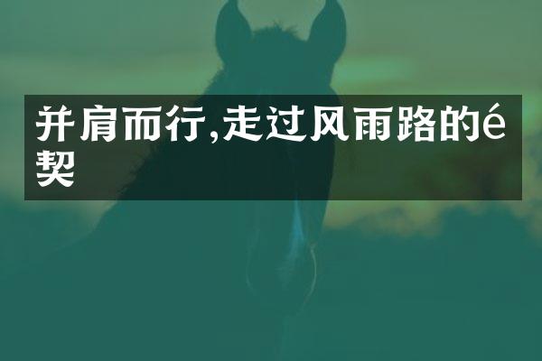 并肩而行,走过风雨路的默契