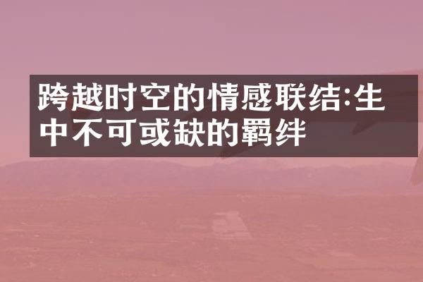 跨越时空的情感联结:生命中不可或缺的羁绊