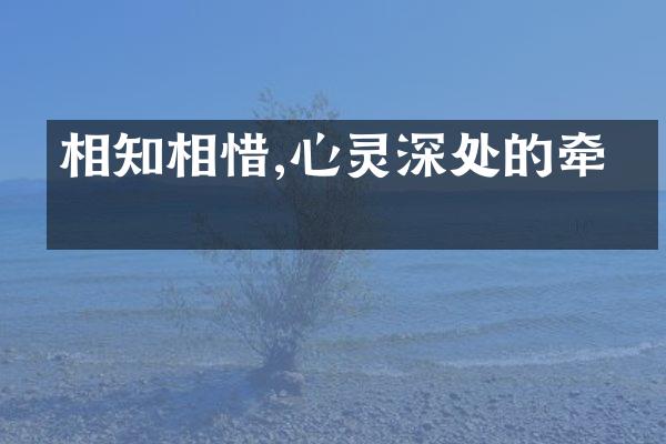 相知相惜,心灵深处的牵绊