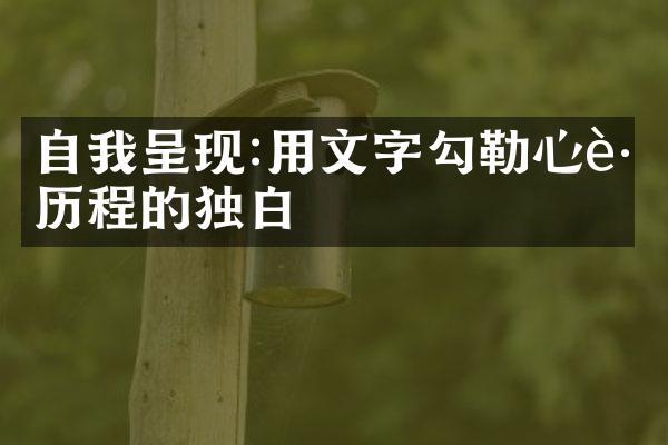 自我呈现:用文字勾勒心路的独白