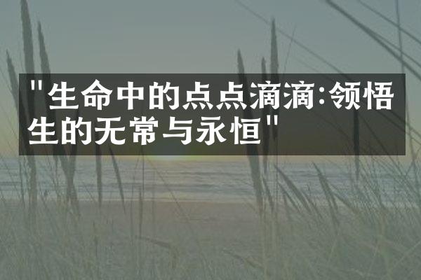 "生命中的点点滴滴:领悟人生的无常与永恒"