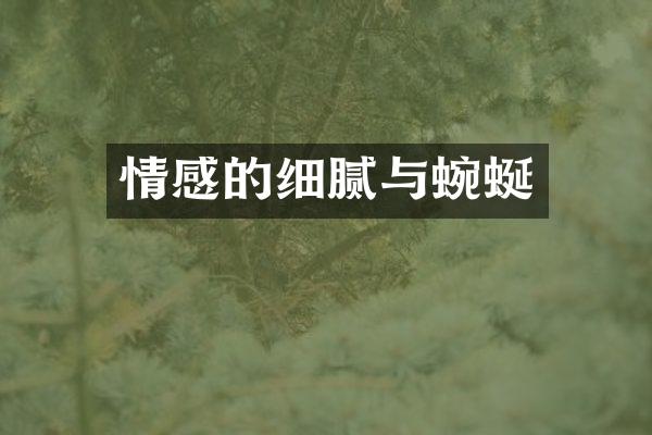 情感的细腻与蜿蜒