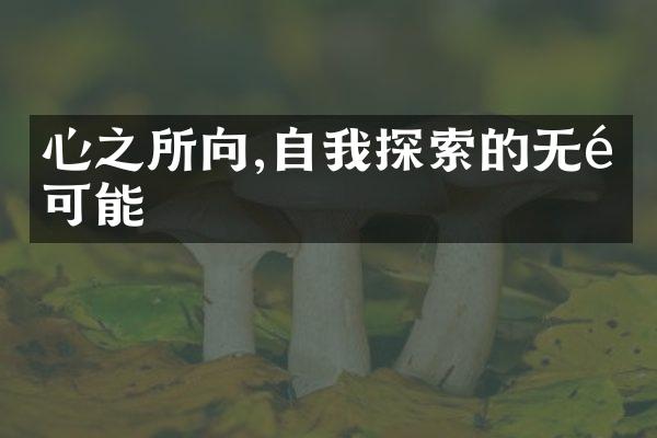 心之所向,自我探索的无限可能