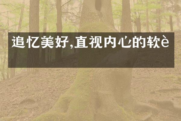 追忆美好,直视内心的软肋