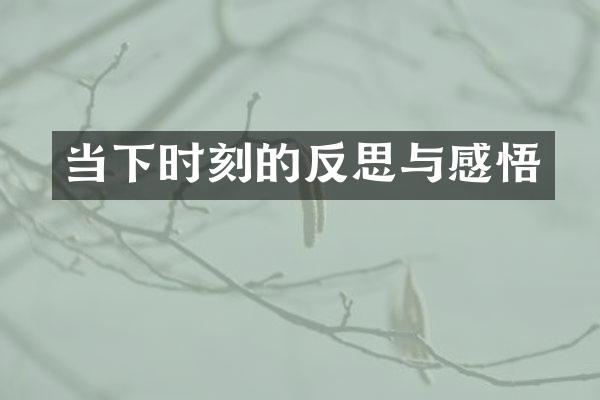 当下时刻的反思与感悟
