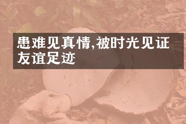 患难见真情,被时光见证的友谊足迹