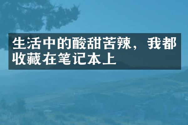 生活中的酸甜苦辣，我都收藏在笔记本上