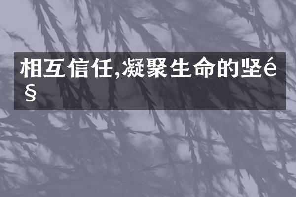 相互信任,凝聚生命的坚韧