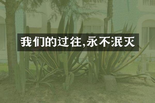 我们的过往,永不泯灭
