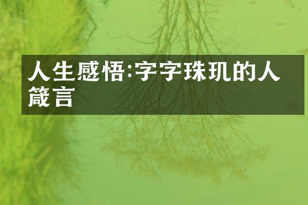 人生感悟:字字珠玑的人生箴言