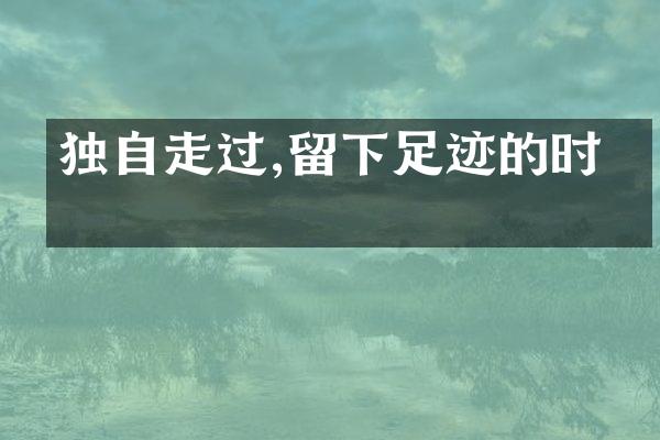 独自走过,留下足迹的时光