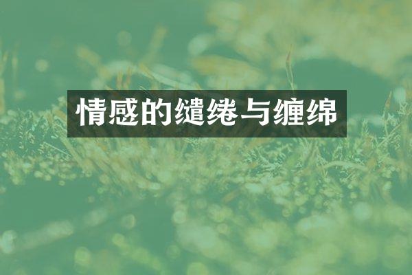 情感的缱绻与缠绵