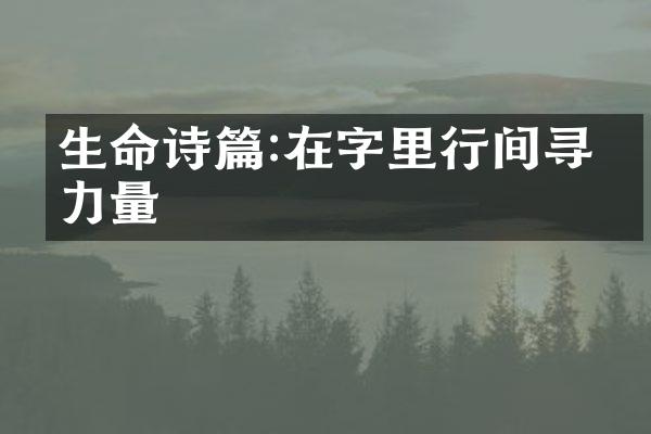 生命诗篇:在字里行间寻找力量