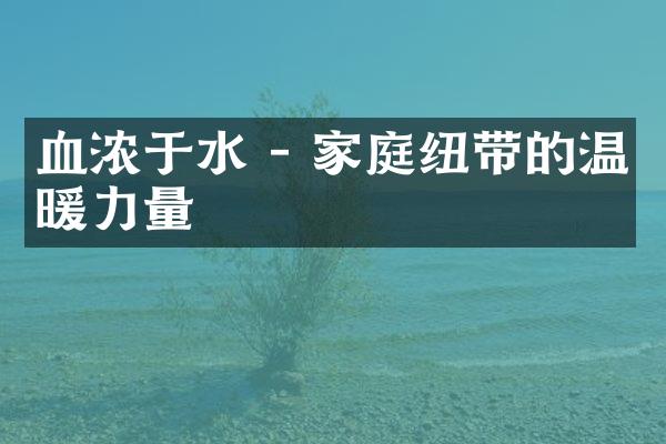 血浓于水 - 家庭纽带的温暖力量