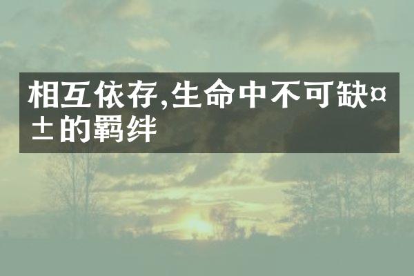 相互依存,生命中不可缺失的羁绊