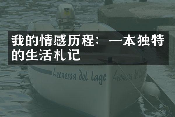 我的情感：一本独特的生活札记