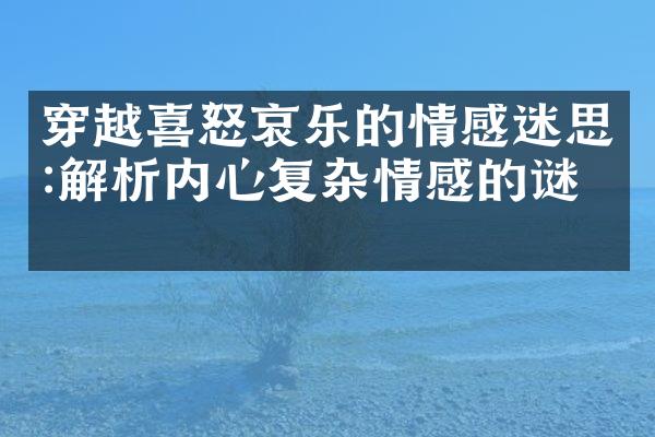 穿越喜怒哀乐的情感迷思:解析内心复杂情感的谜团
