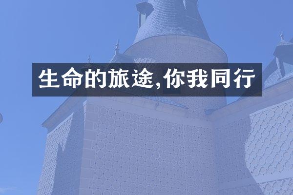 生命的旅途,你我同行