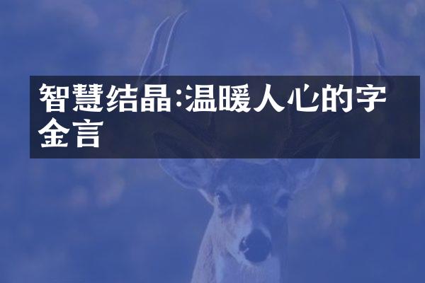 智慧结晶:温暖人心的字字金言