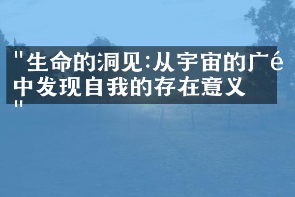"生命的洞见:从宇宙的广阔中发现自我的存在意义"