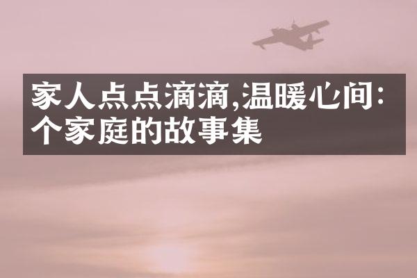 家人点点滴滴,温暖心间:一个家庭的故事集