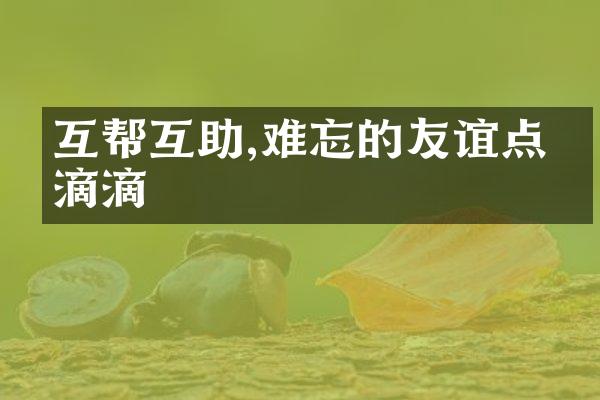 互帮互助,难忘的友谊点点滴滴