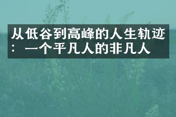 从低谷到高峰的人生轨迹：一个平凡人的非凡人生