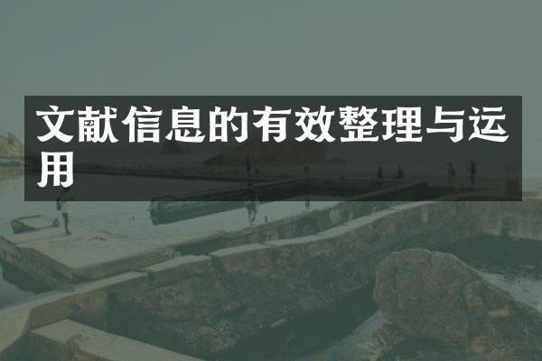 文献信息的有效整理与运用