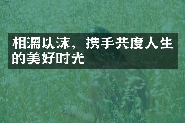 相濡以沫，携手共度人生的美好时光