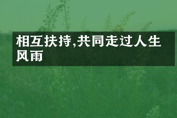 相互扶持,共同走过人生的风雨