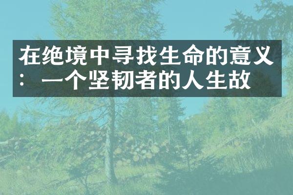 在绝境中寻找生命的意义：一个坚韧者的人生故事