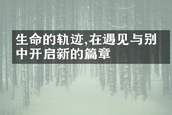 生命的轨迹,在遇见与别离中开启新的篇章