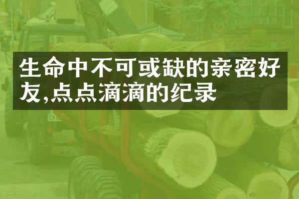生命中不可或缺的亲密好友,点点滴滴的纪录