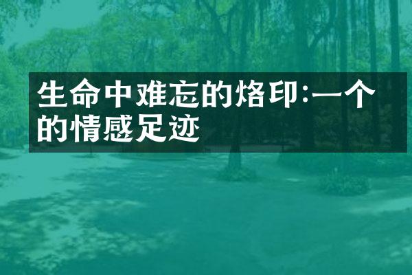 生命中难忘的烙印:一个人的情感足迹