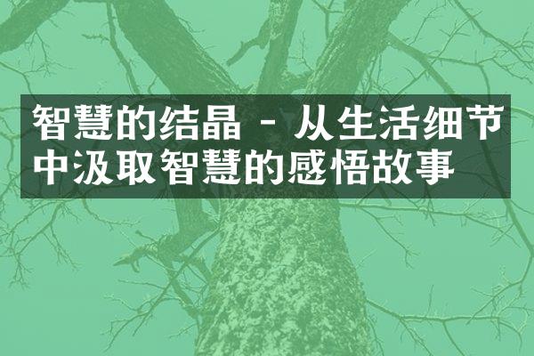 智慧的结晶 - 从生活细节中汲取智慧的感悟故事