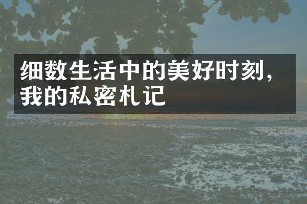 细数生活中的美好时刻，我的私密札记