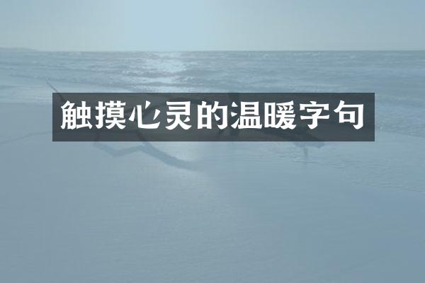 触摸心灵的温暖字句
