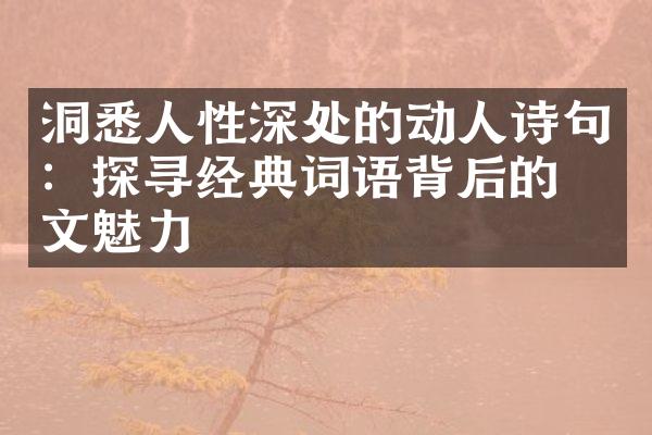 洞悉人性深处的动人诗句：探寻经典词语背后的人文魅力