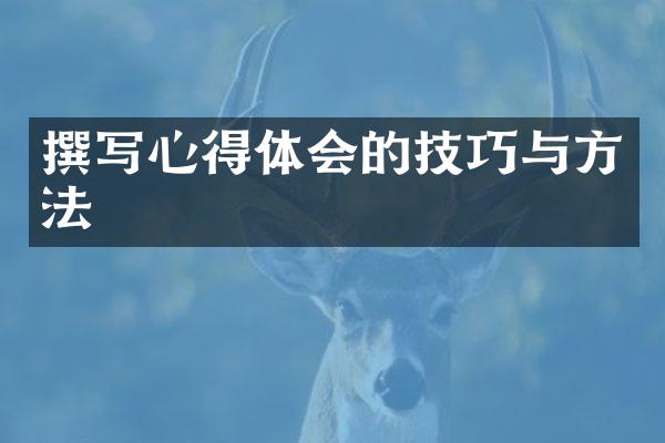 撰写心得体会的技巧与方法