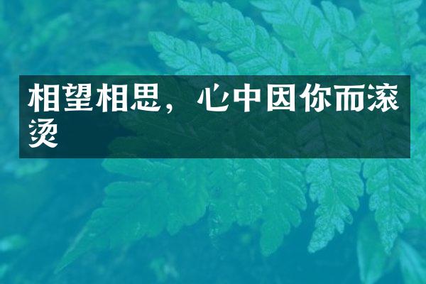 相望相思，心中因你而滚烫
