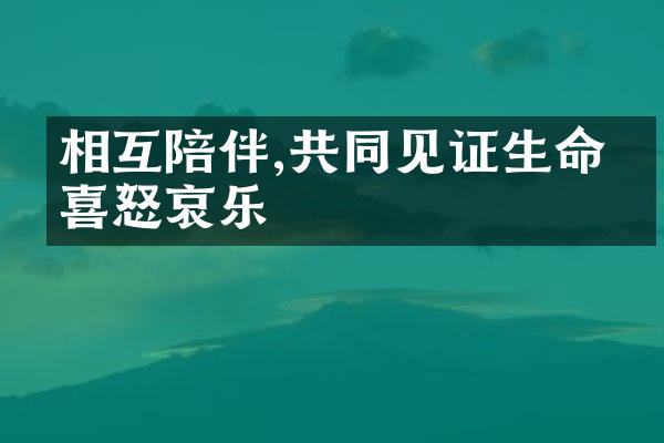 相互陪伴,共同见证生命的喜怒哀乐